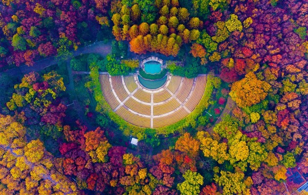 公园景区彩化6.jpg